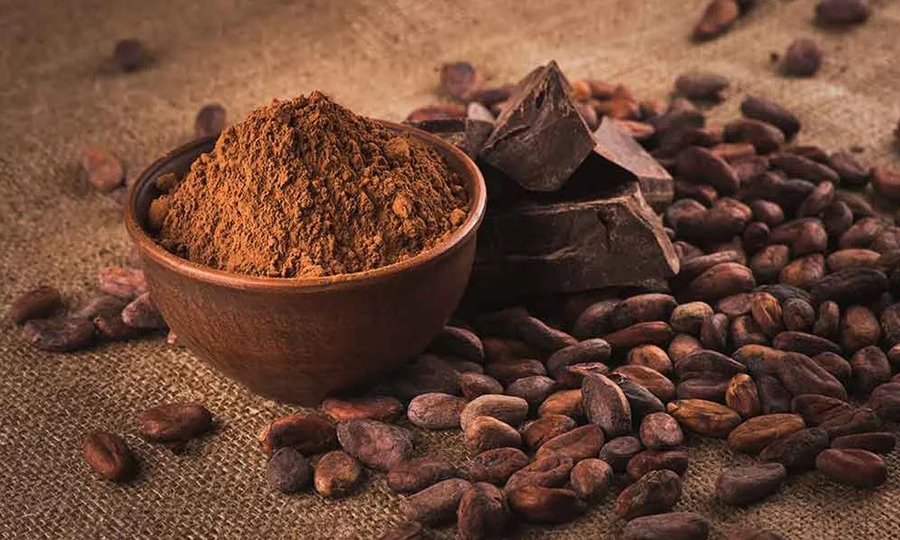 BENEFICIOS DEL CACAO